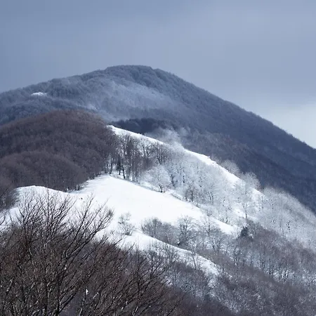 Appartamento Gilardi Cusano Mutri