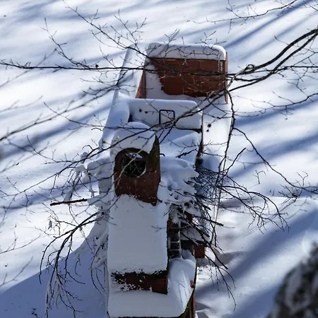 Gilardi Cusano Mutri