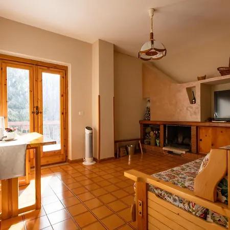 Gilardi * 쿠사노 무트리