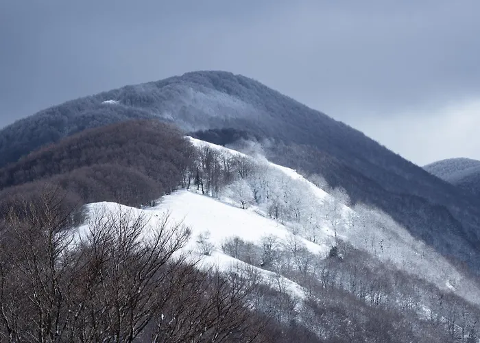 Апартаменты Gilardi Кузано-Мутри