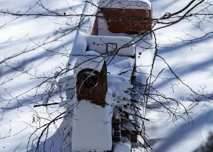 Gilardi Кузано-Мутри